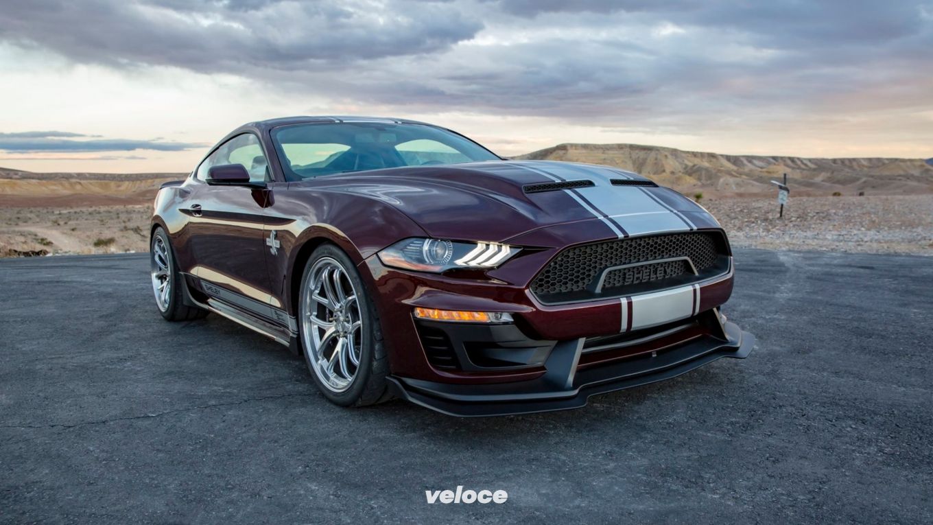 Le Shelby sbarcano in Italia con Cavauto Le Shelby sbarcano in Italia con Cavauto