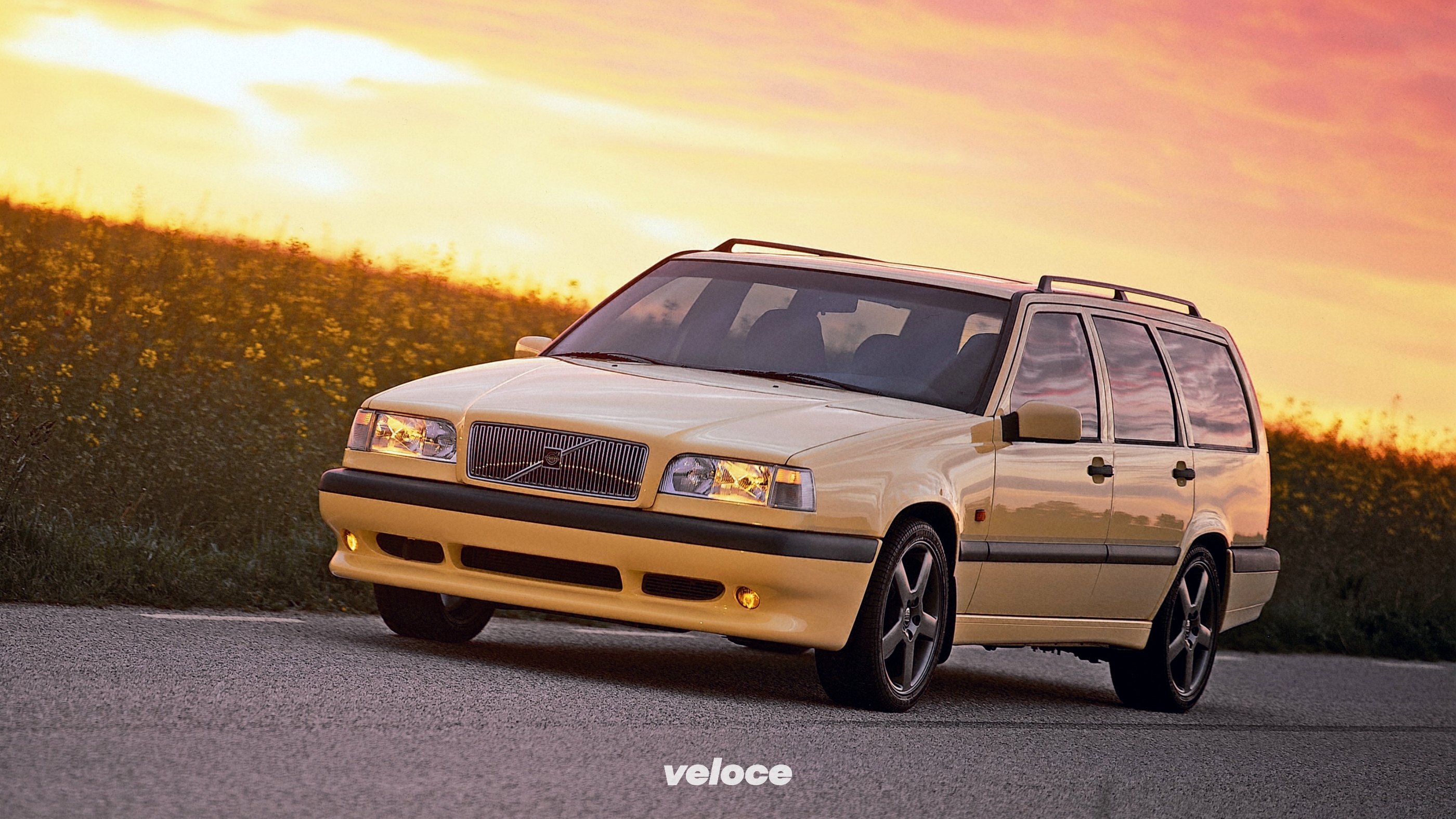 Il fascino delle balene veloci. La nostra top ten