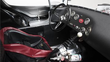 Cheetah © Barrett Jackson_10 Cheetah © Barrett Jackson_10