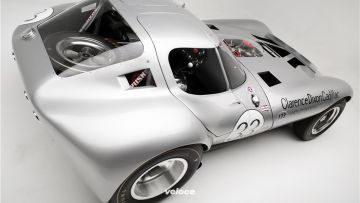 Cheetah © Barrett Jackson_9 Cheetah © Barrett Jackson_9