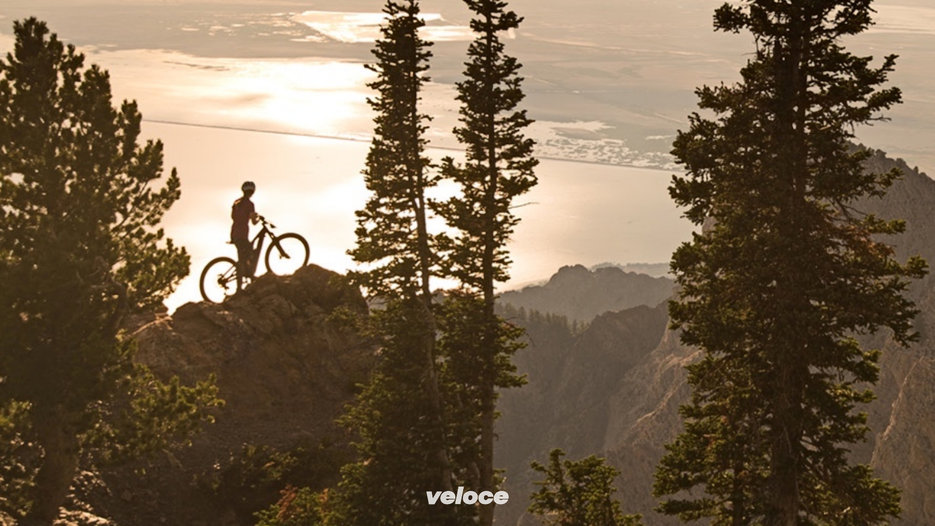 specialized-turbo-levo2 specialized-turbo-levo2