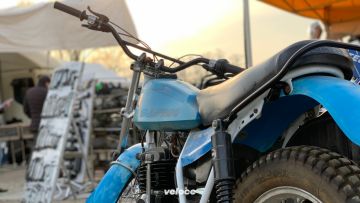 01. Codevilla 01. Codevilla