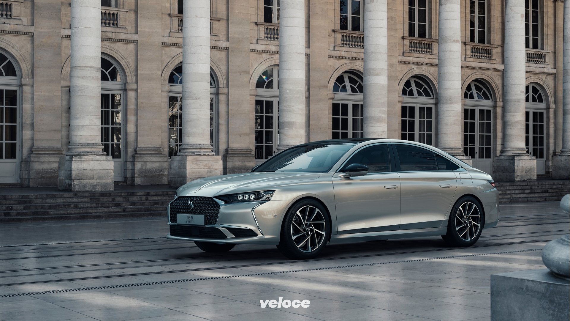 CL 19.503.019 CL 19.503.019