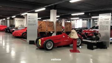 IMG_6016 IMG_6016
