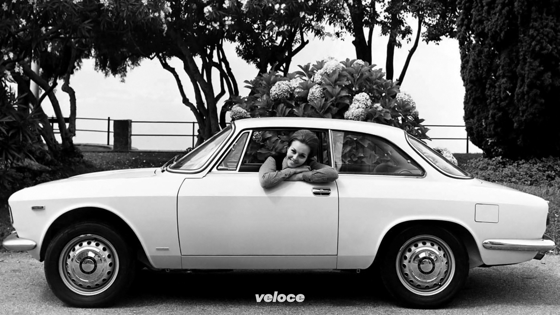 alfa-romeo-giulia-6 alfa-romeo-giulia-6