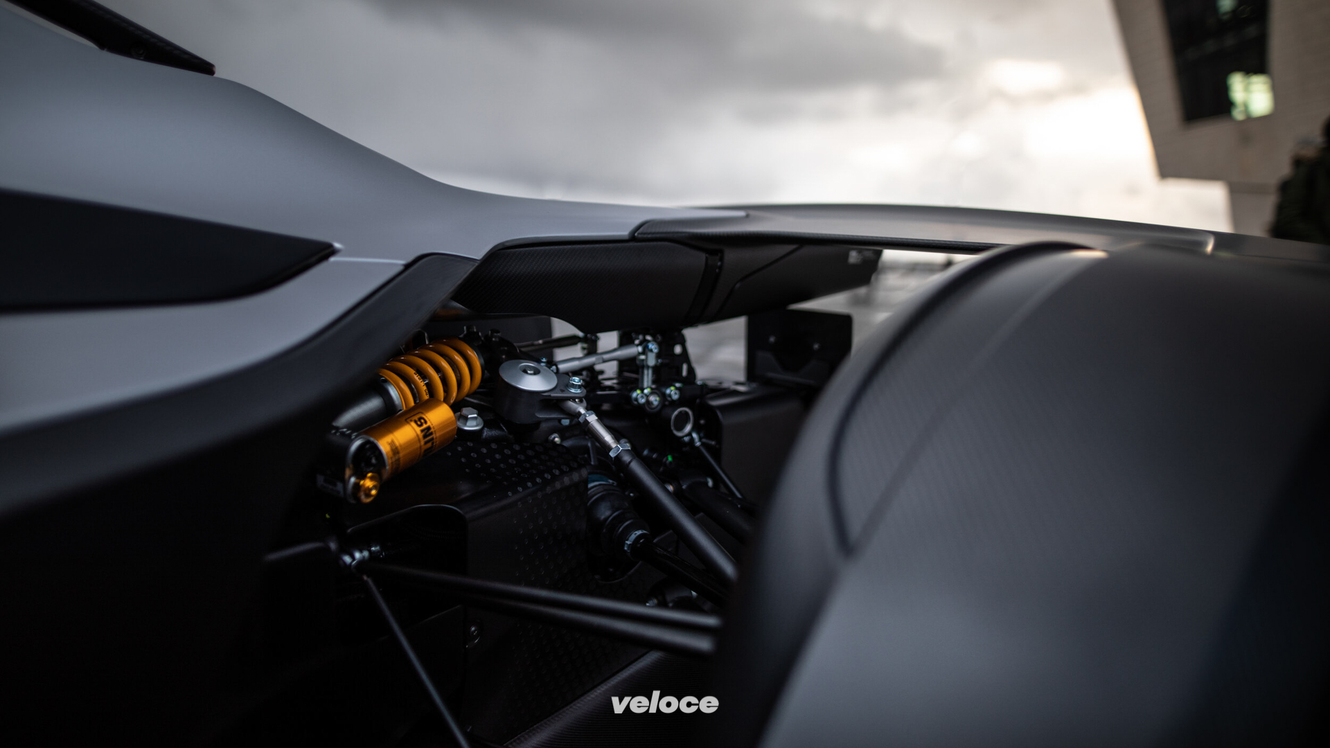 BacMono2020-7 BacMono2020-7