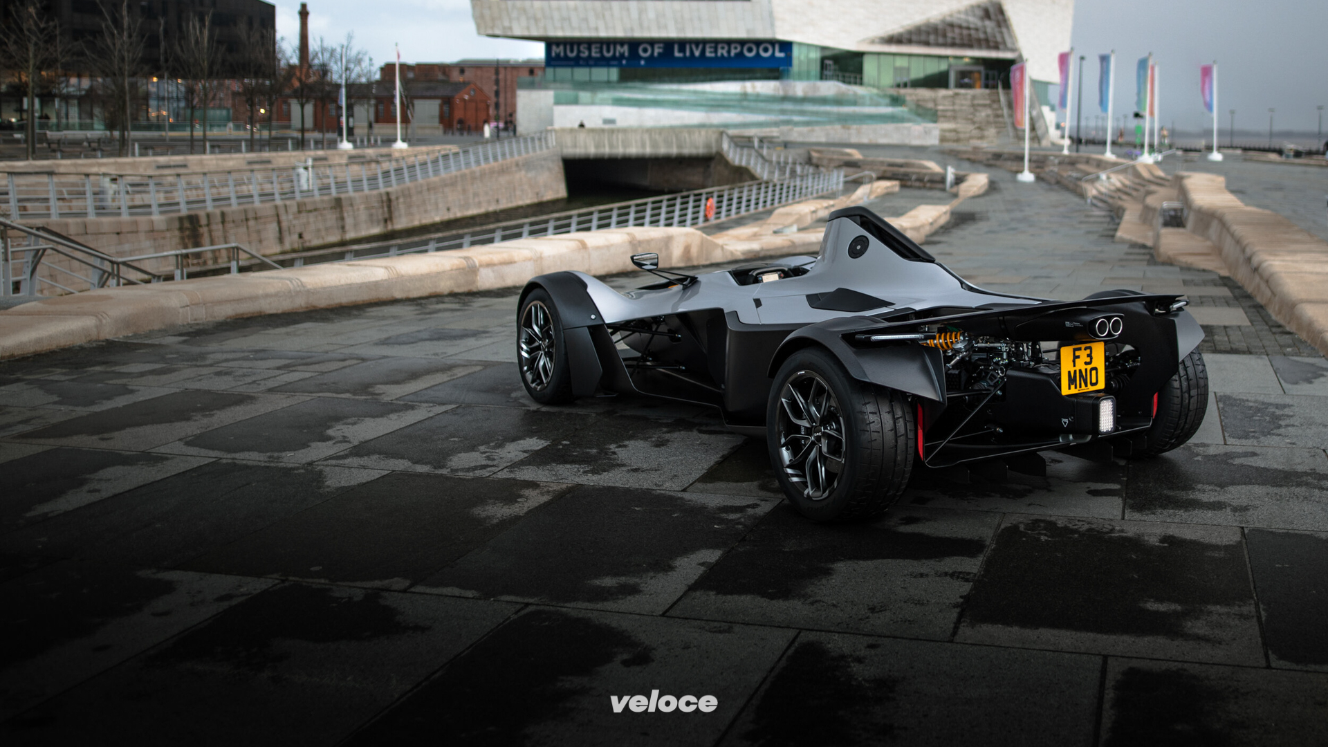 BacMono2020-8 BacMono2020-8