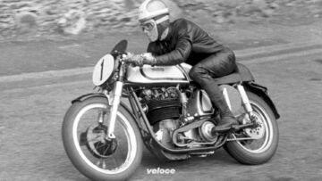 norton-7 norton-7