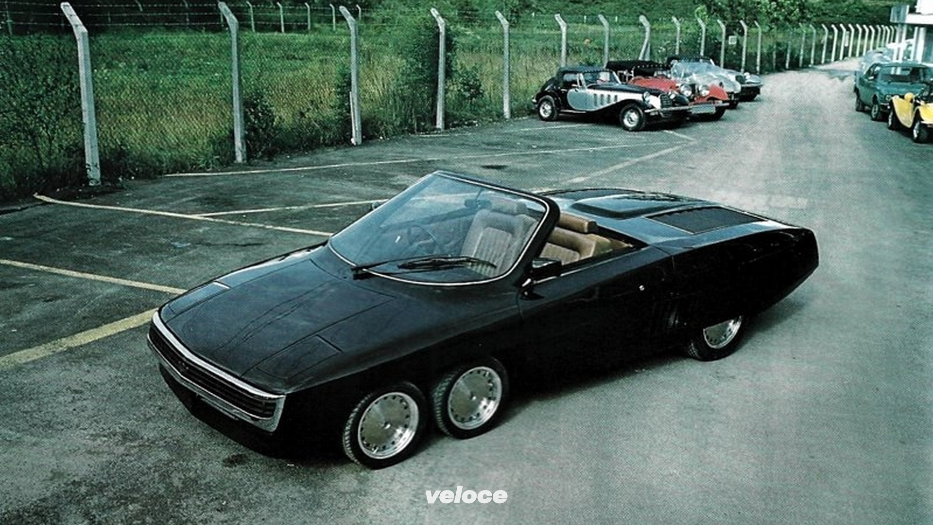 panther_6_veloce_2