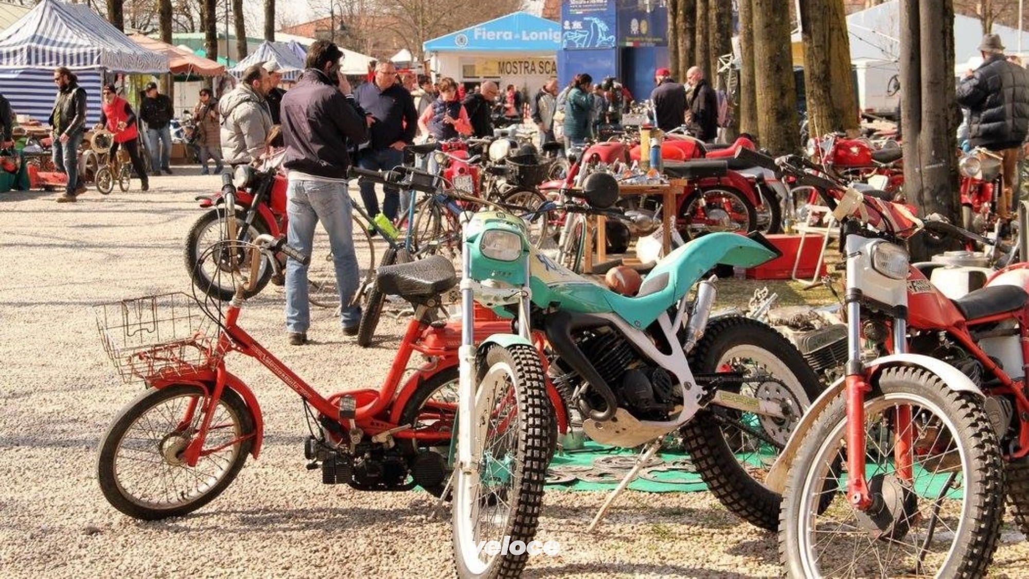 004. Vicenza 004. Vicenza