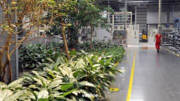 Ferrari-stabilimenti-5