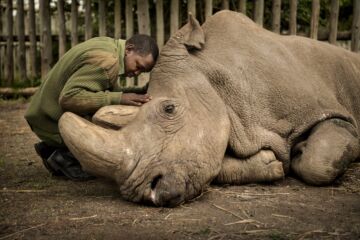 Wildlife-Photographer-of-the-Year-5-CLASSIFICATO Wildlife-Photographer-of-the-Year-5-CLASSIFICATO