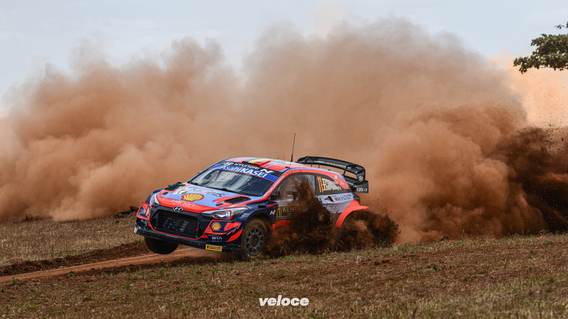 WRC-Safari-5
