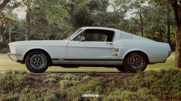 Fastback Fastback