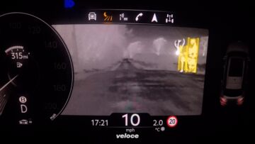 Bentley-Finding-Rudolph-2