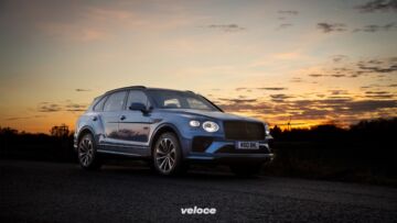 Bentley-Finding-Rudolph-6