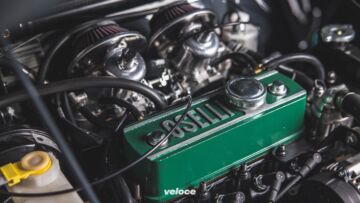 Mini-Oselli-11 Mini-Oselli-11