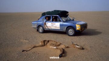 alfa_romeo_alfetta_raid_capo_nord_capo_sud_3 alfa_romeo_alfetta_raid_capo_nord_capo_sud_3