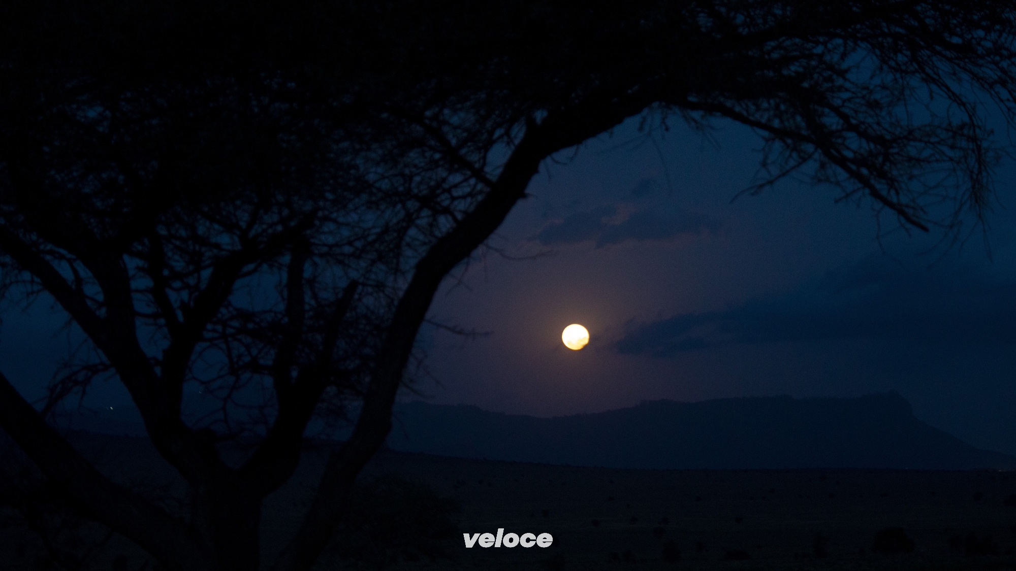 East-African-Safari-Classic-AtmosphereEASC22-08-rk0205 East-African-Safari-Classic-AtmosphereEASC22-08-rk0205