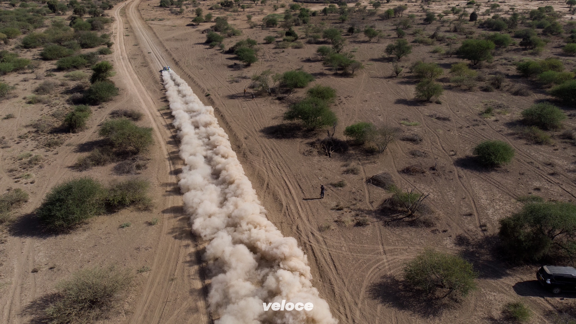 East-African-Safari-Classic-ChaggerCEASC22-06-rk0256 East-African-Safari-Classic-ChaggerCEASC22-06-rk0256