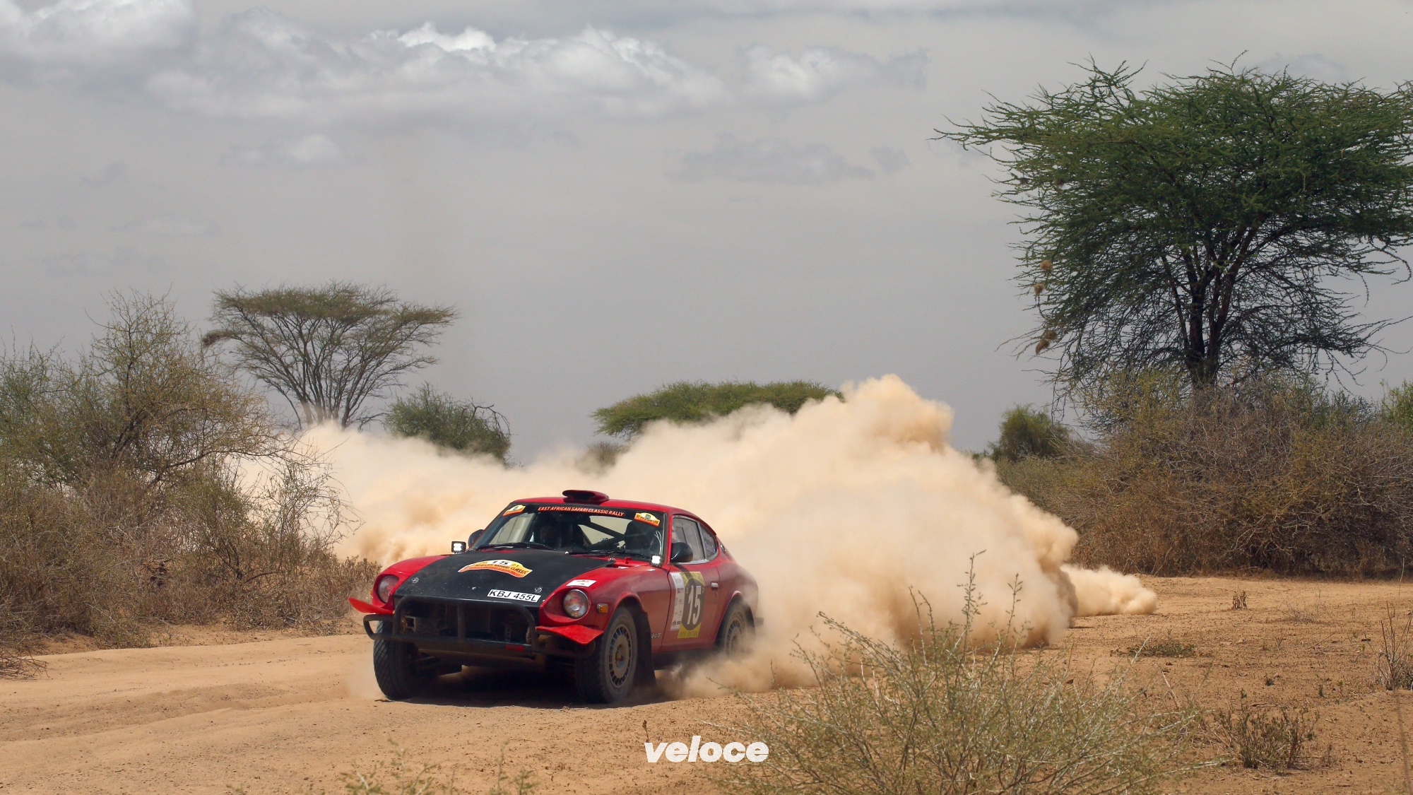 East-African-Safari-Classic-DaykinCEASC22-06-rk0157 East-African-Safari-Classic-DaykinCEASC22-06-rk0157