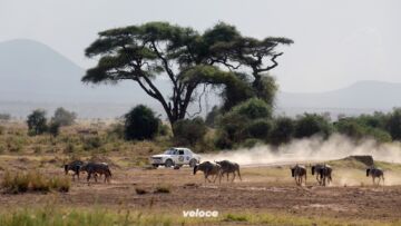 East-African-Safari-Classic-KhanEASC22-06-rk0150 East-African-Safari-Classic-KhanEASC22-06-rk0150