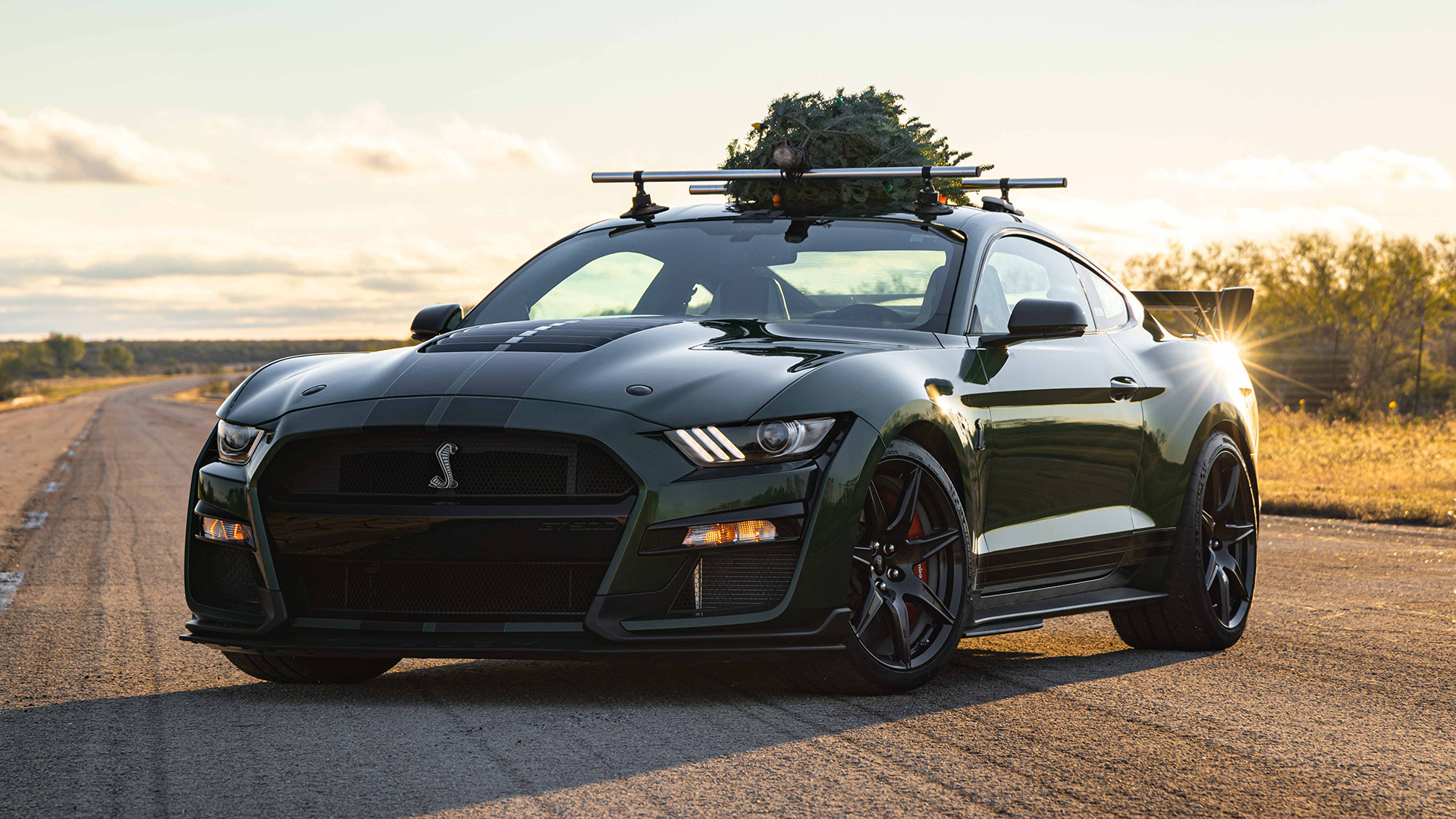 Hennessey Venom 1000 Ford Mustang GT500