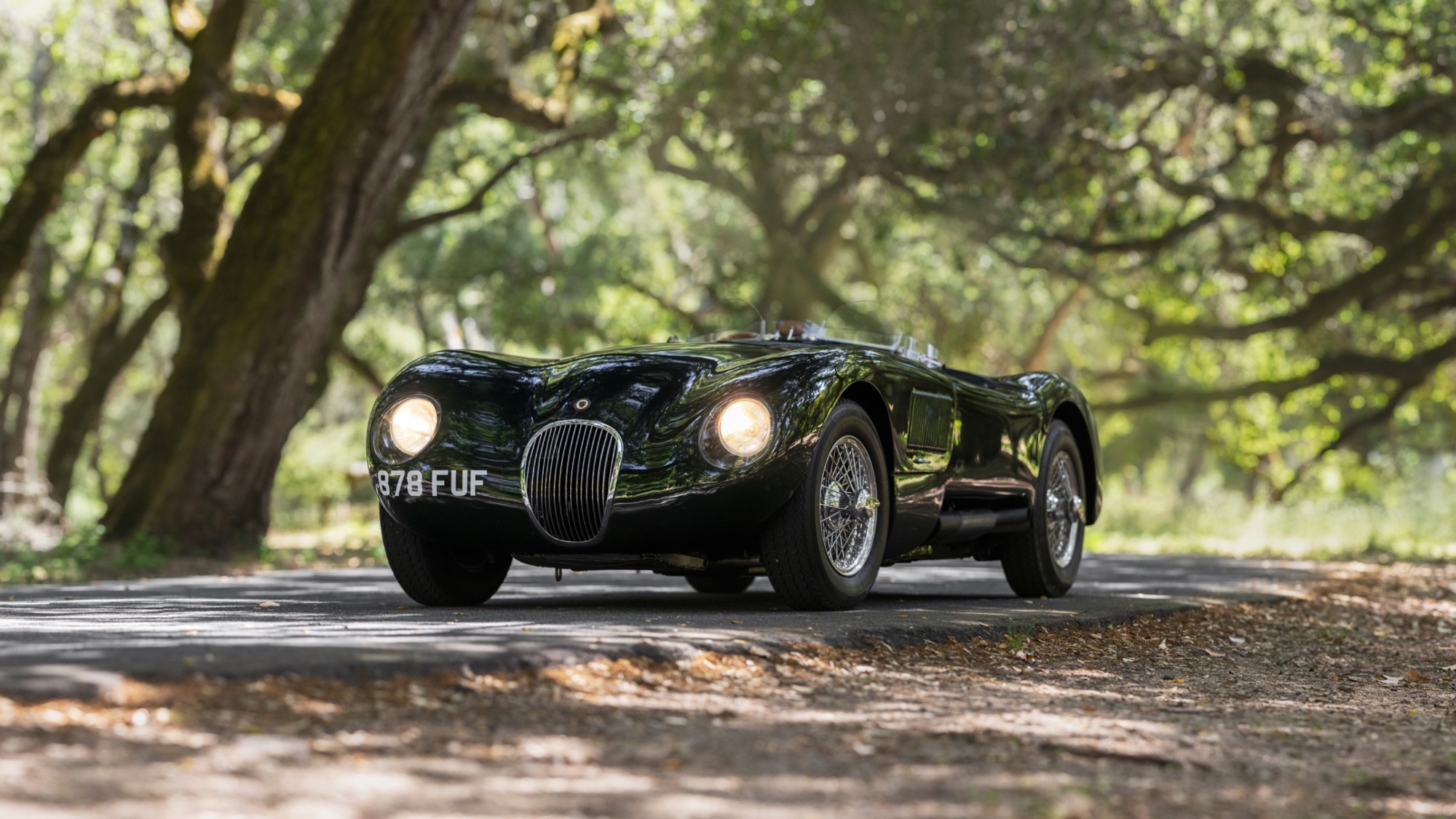 1952-Jaguar-C-Type1375749_ 1952-Jaguar-C-Type1375749_