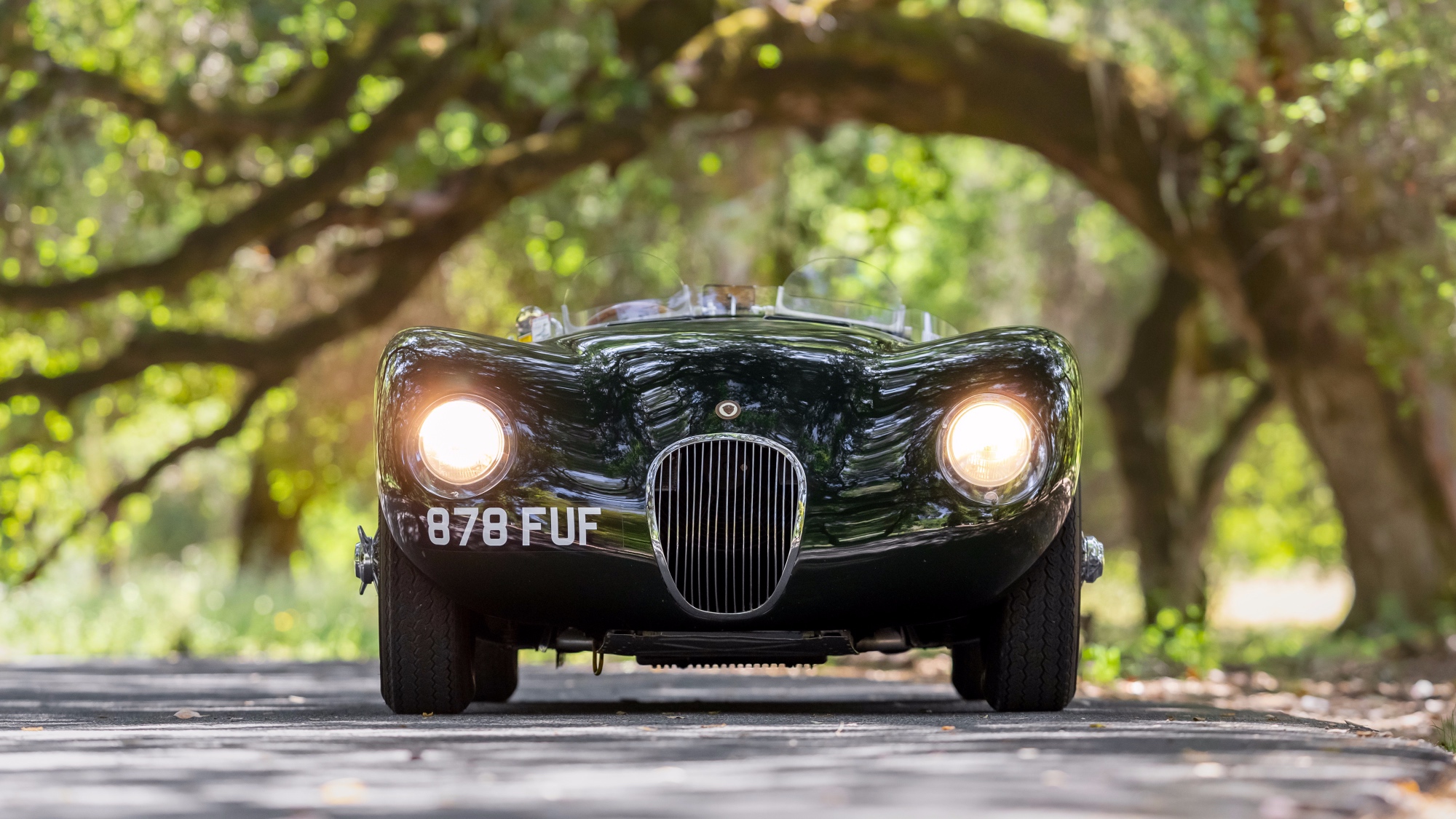 1952-Jaguar-C-Type1375750_ 1952-Jaguar-C-Type1375750_