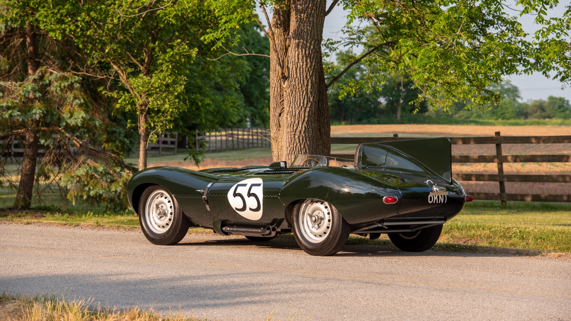1955-Jaguar-D-Type1371750_ 1955-Jaguar-D-Type1371750_