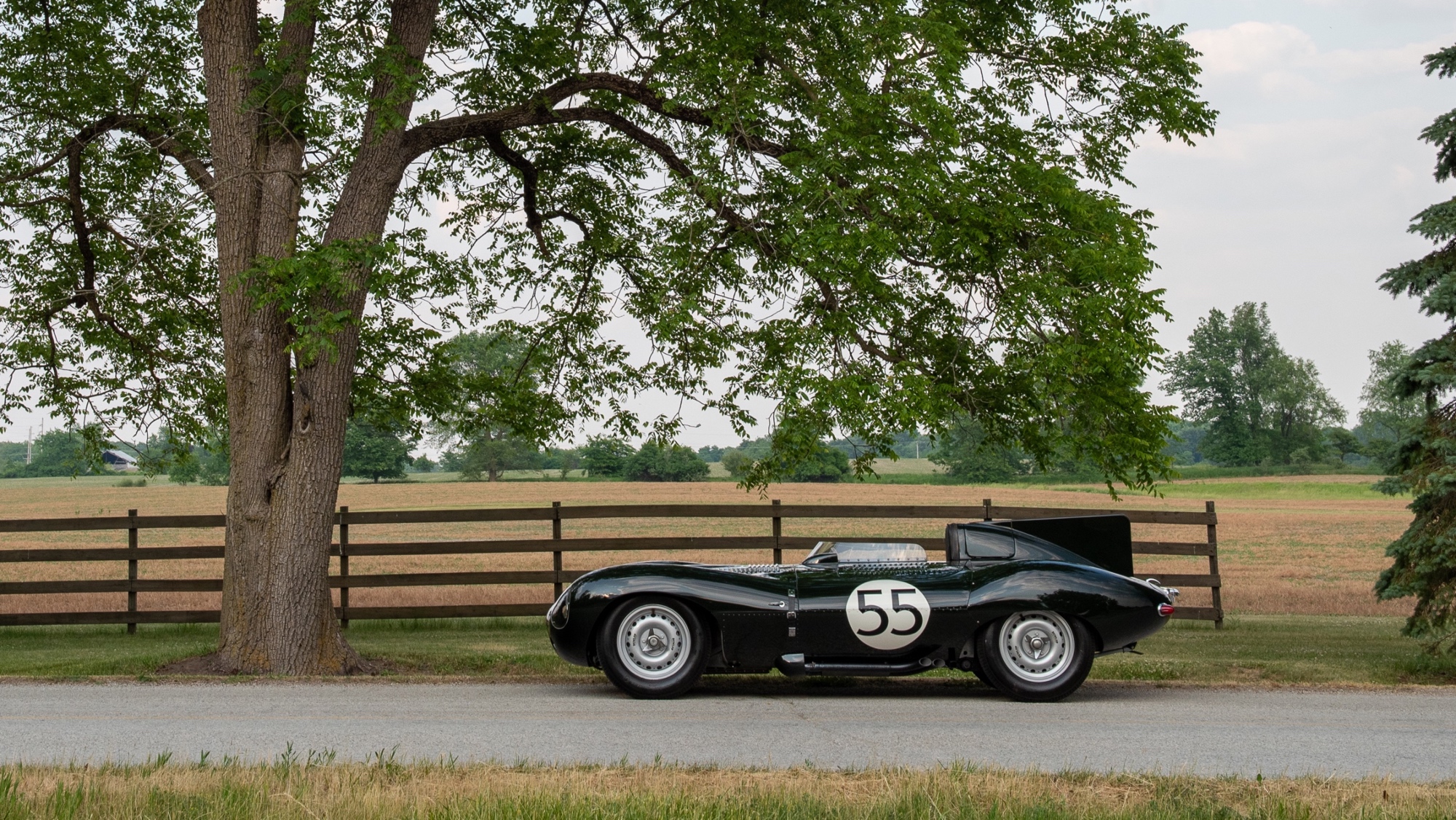 1955-Jaguar-D-Type1371753_ 1955-Jaguar-D-Type1371753_