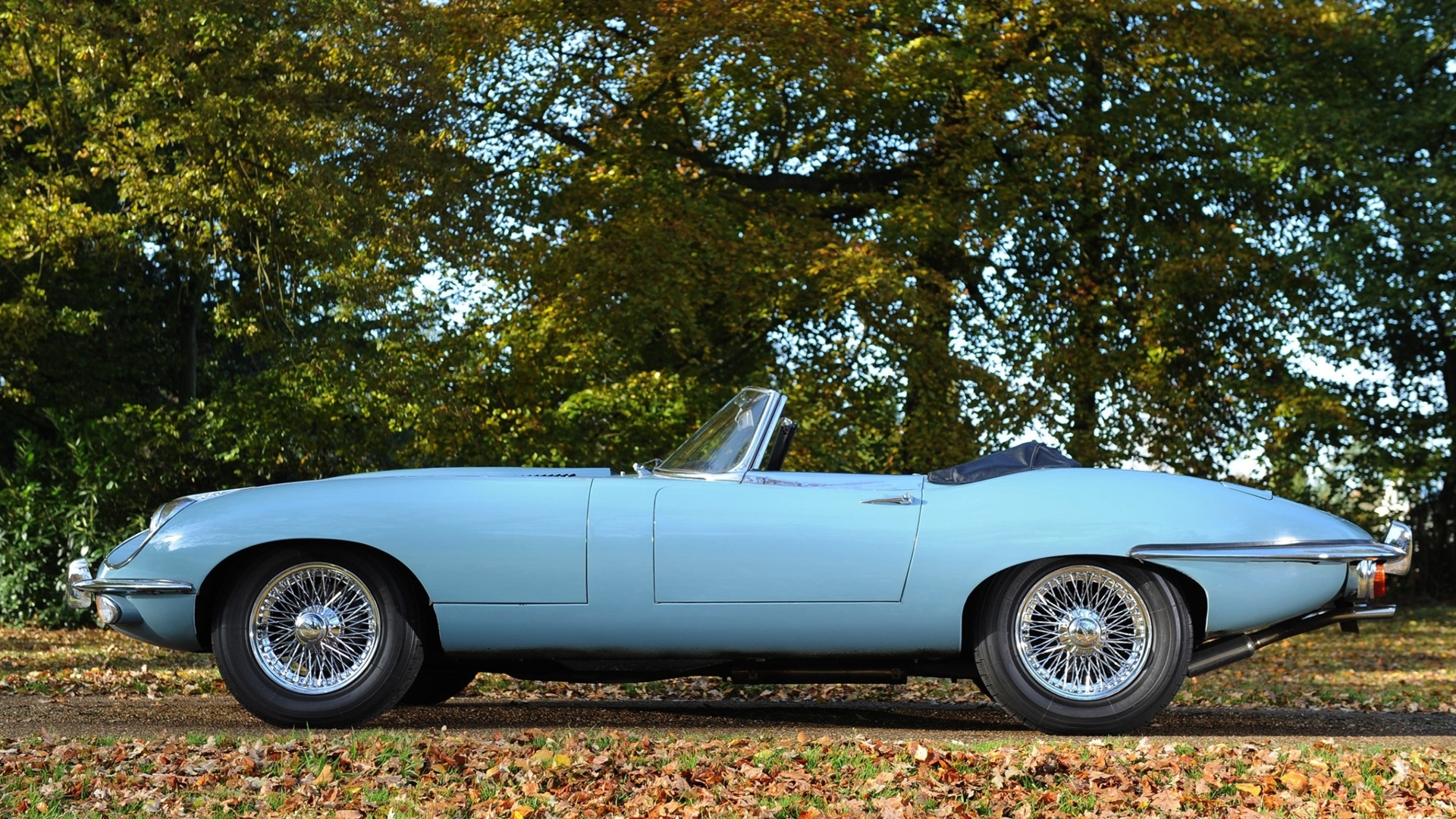 Jaguar-E-Type-7