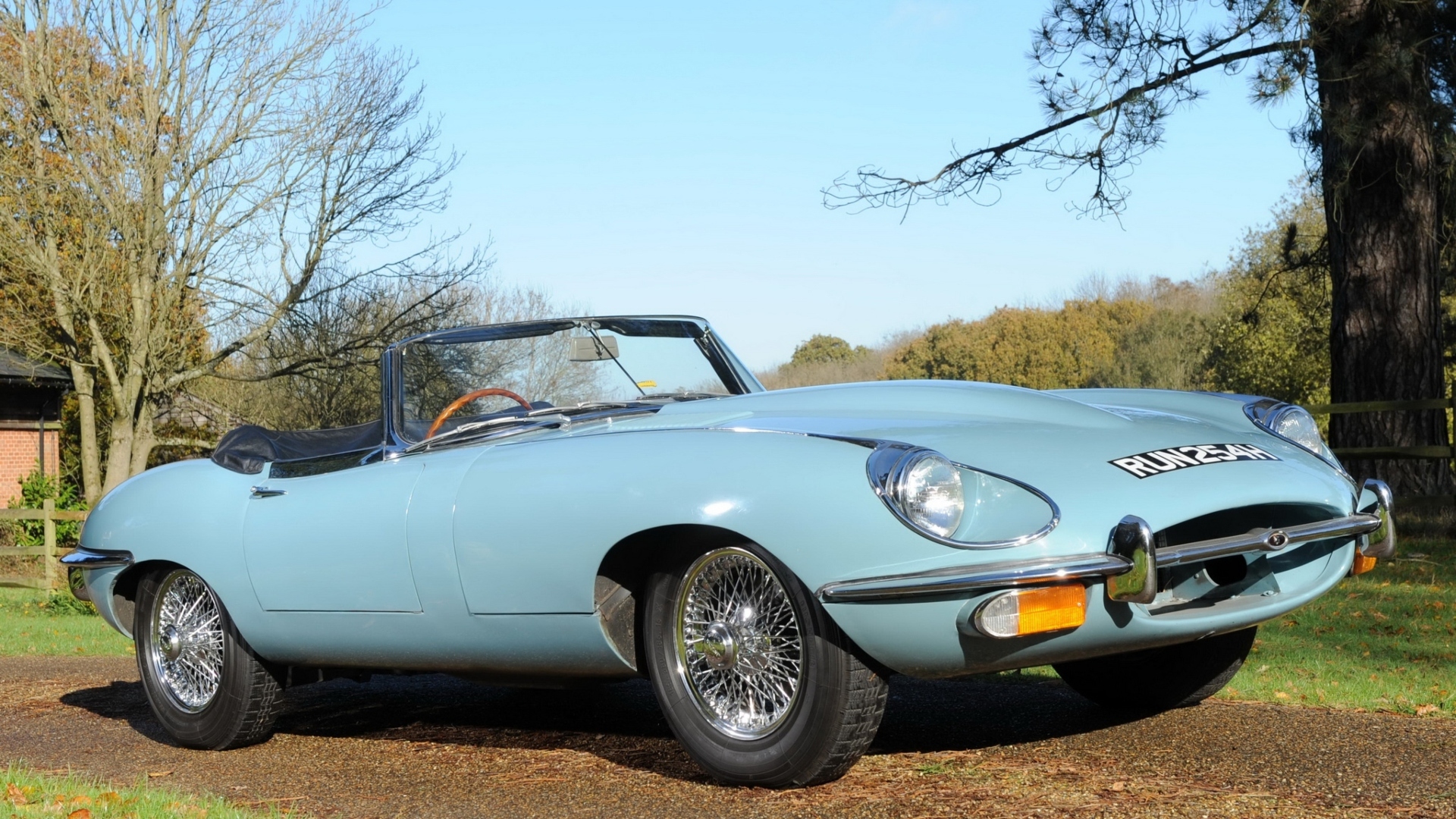 Jaguar-E-Type-8