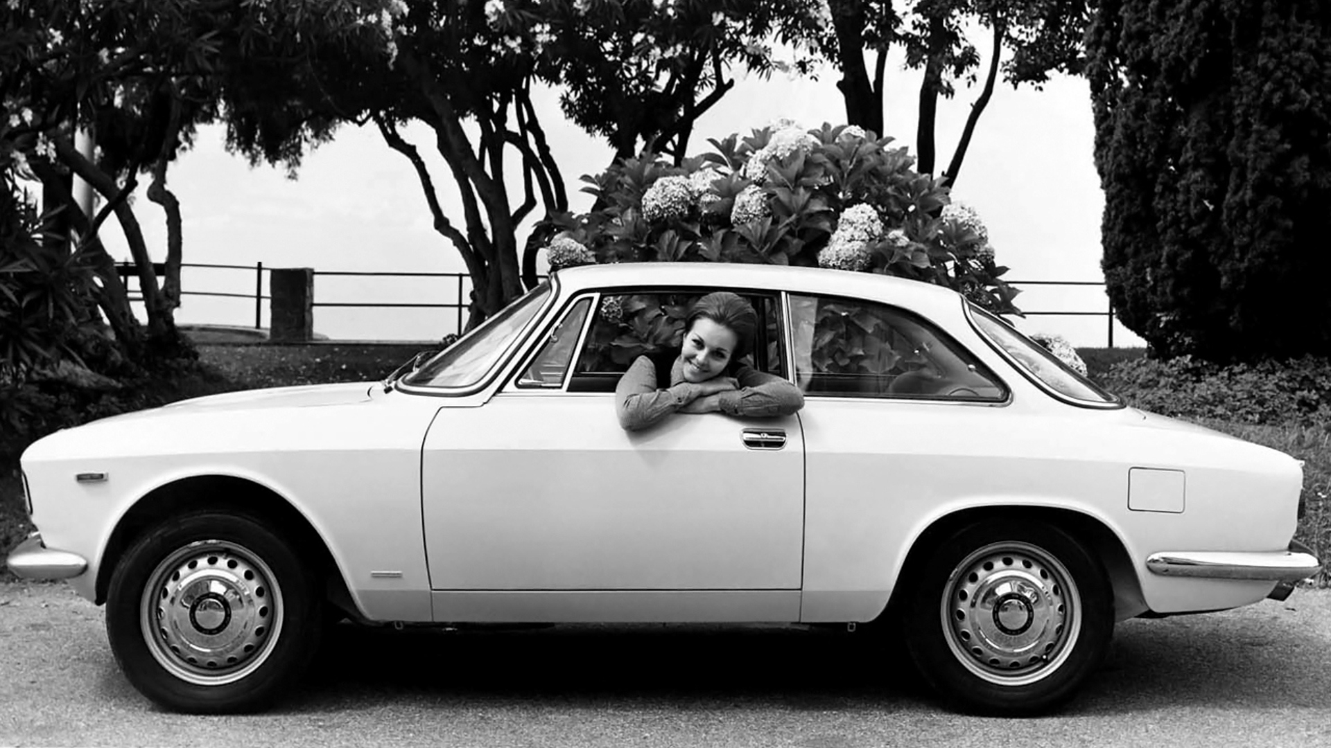 Alfa-Romeo-Giulia-Sprint-GT-3 Alfa-Romeo-Giulia-Sprint-GT-3