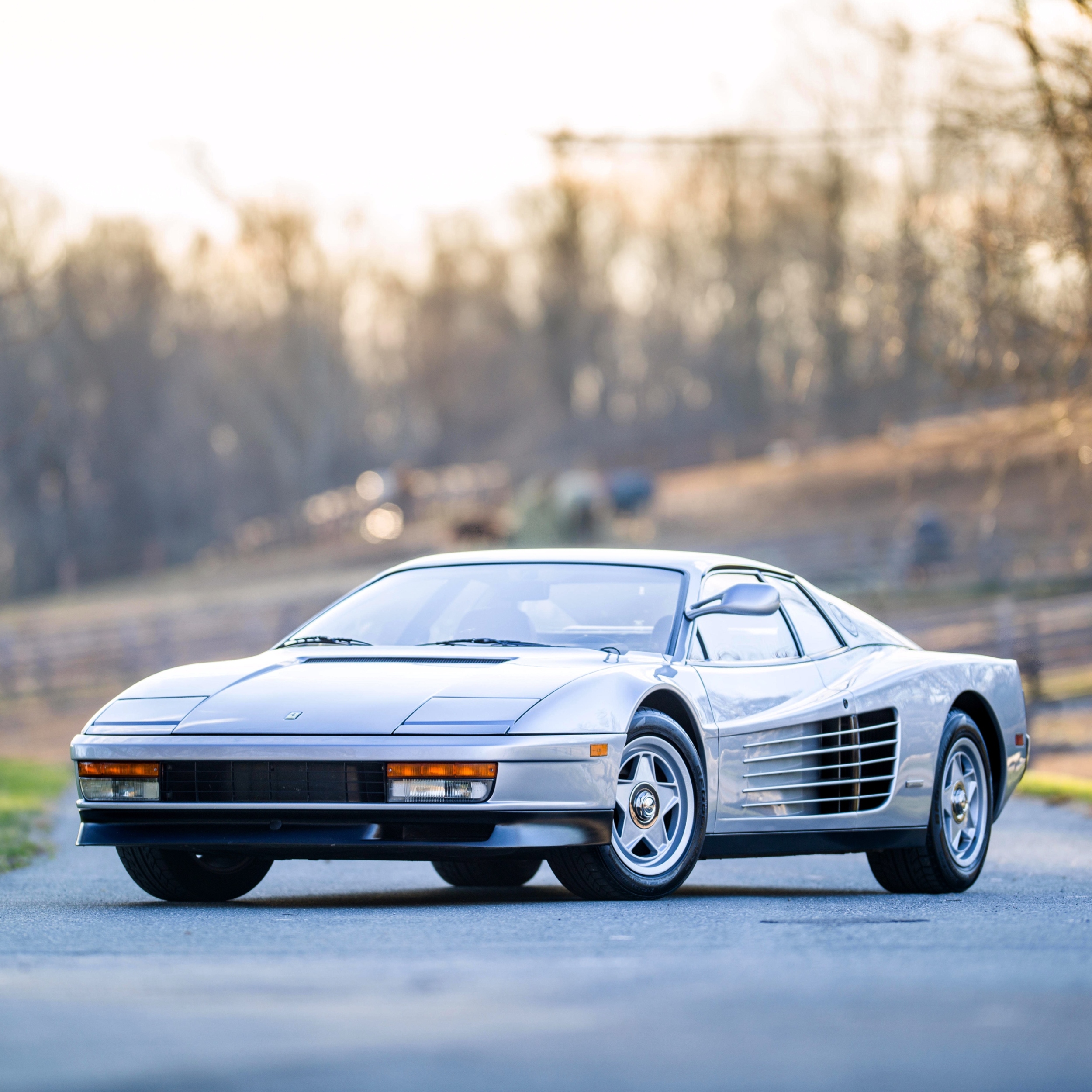 La Ferrari Testarossa ai raggi X