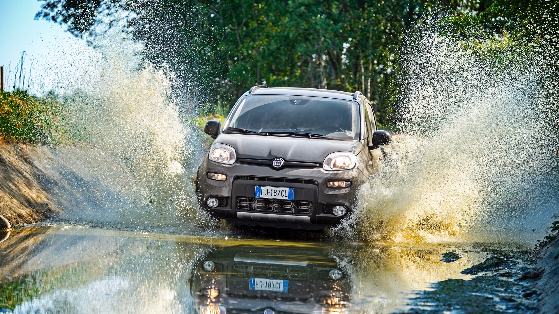 Fiat-Panda-7 Fiat-Panda-7