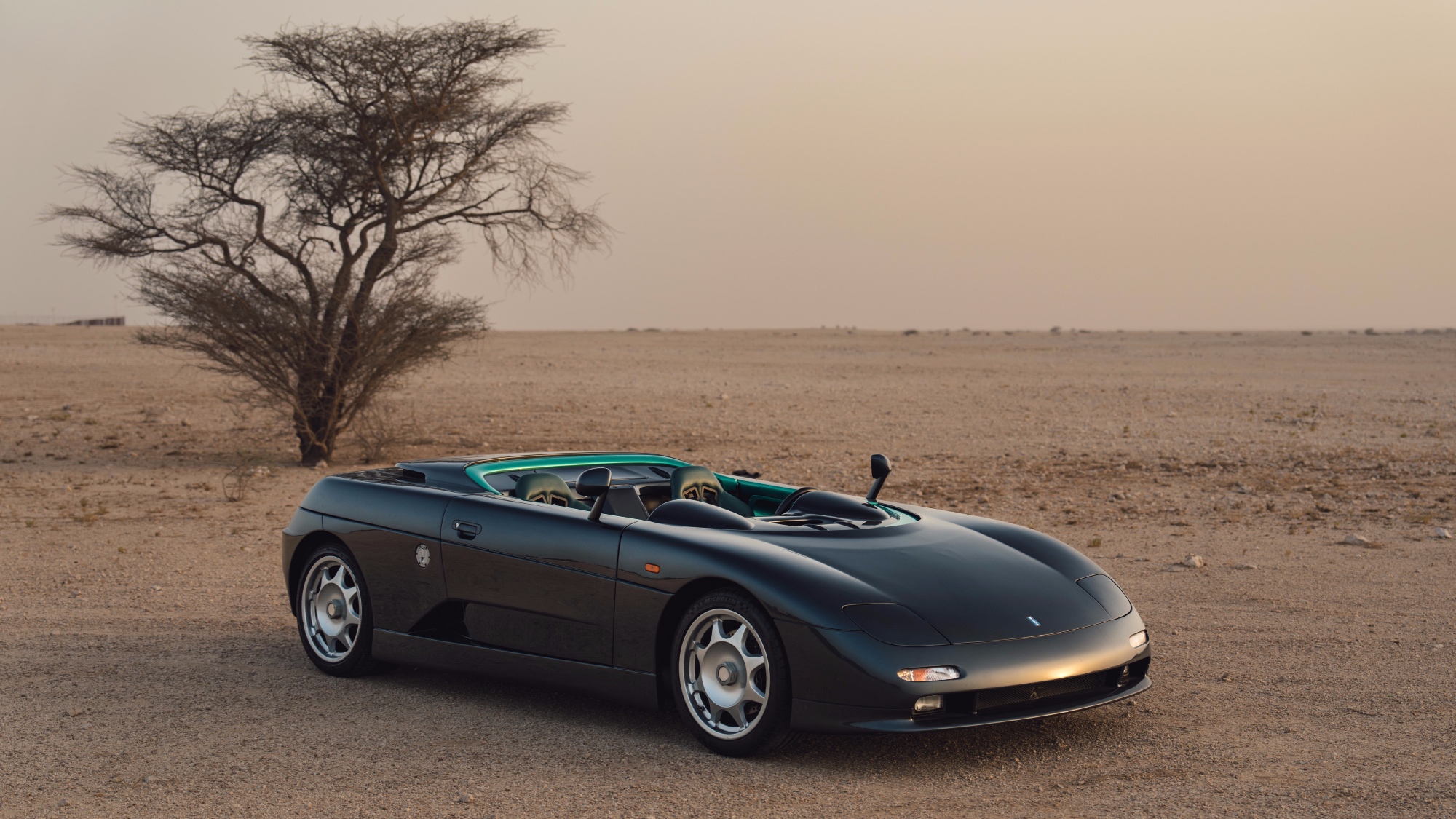 de_tomaso_guara_barchetta_13