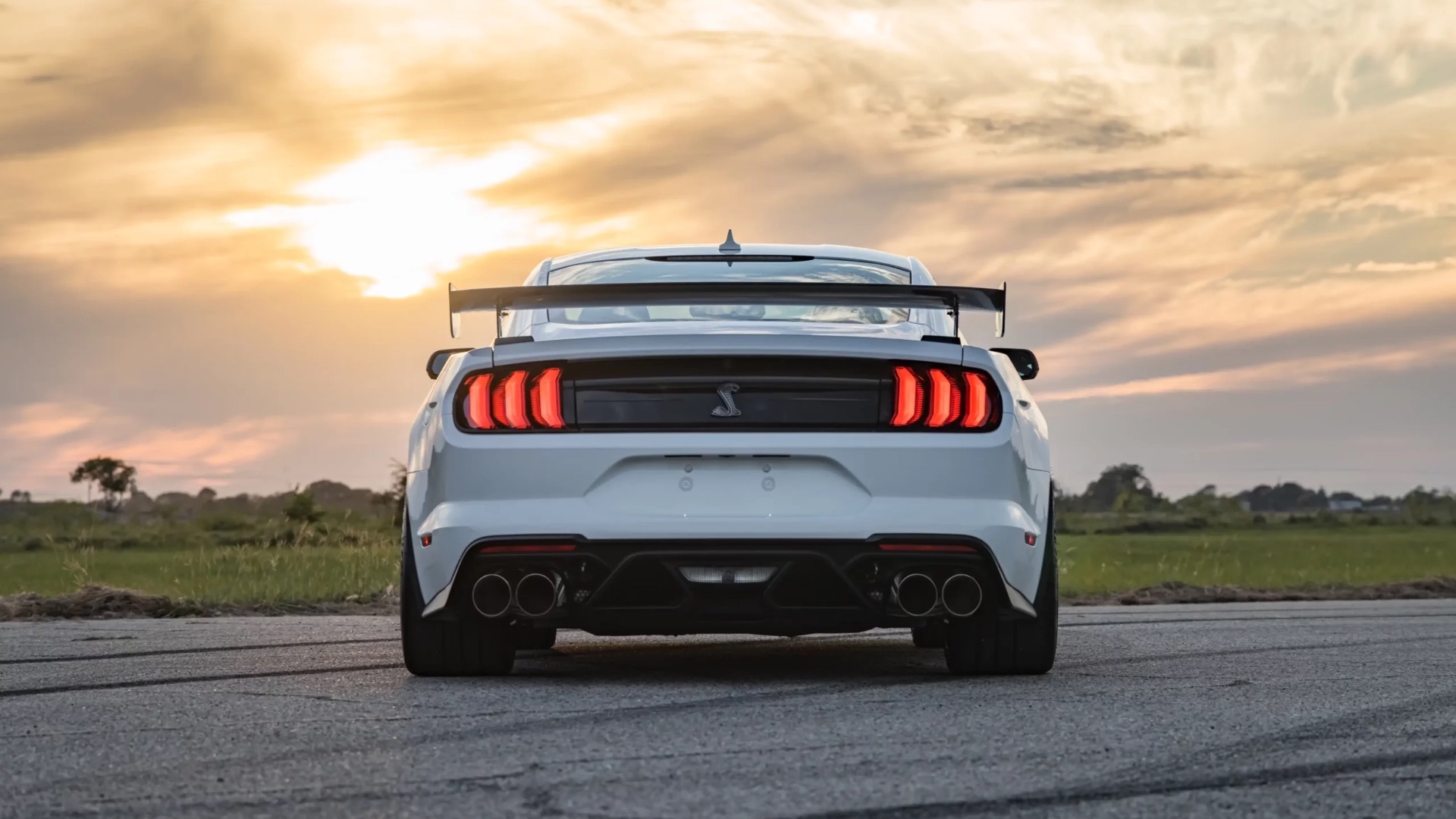 Venom_1200_15-scaled