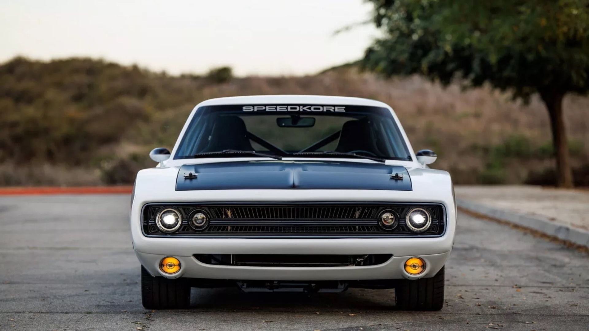 SpeedKore-Ghost-156-1536x1024 SpeedKore-Ghost-156-1536x1024