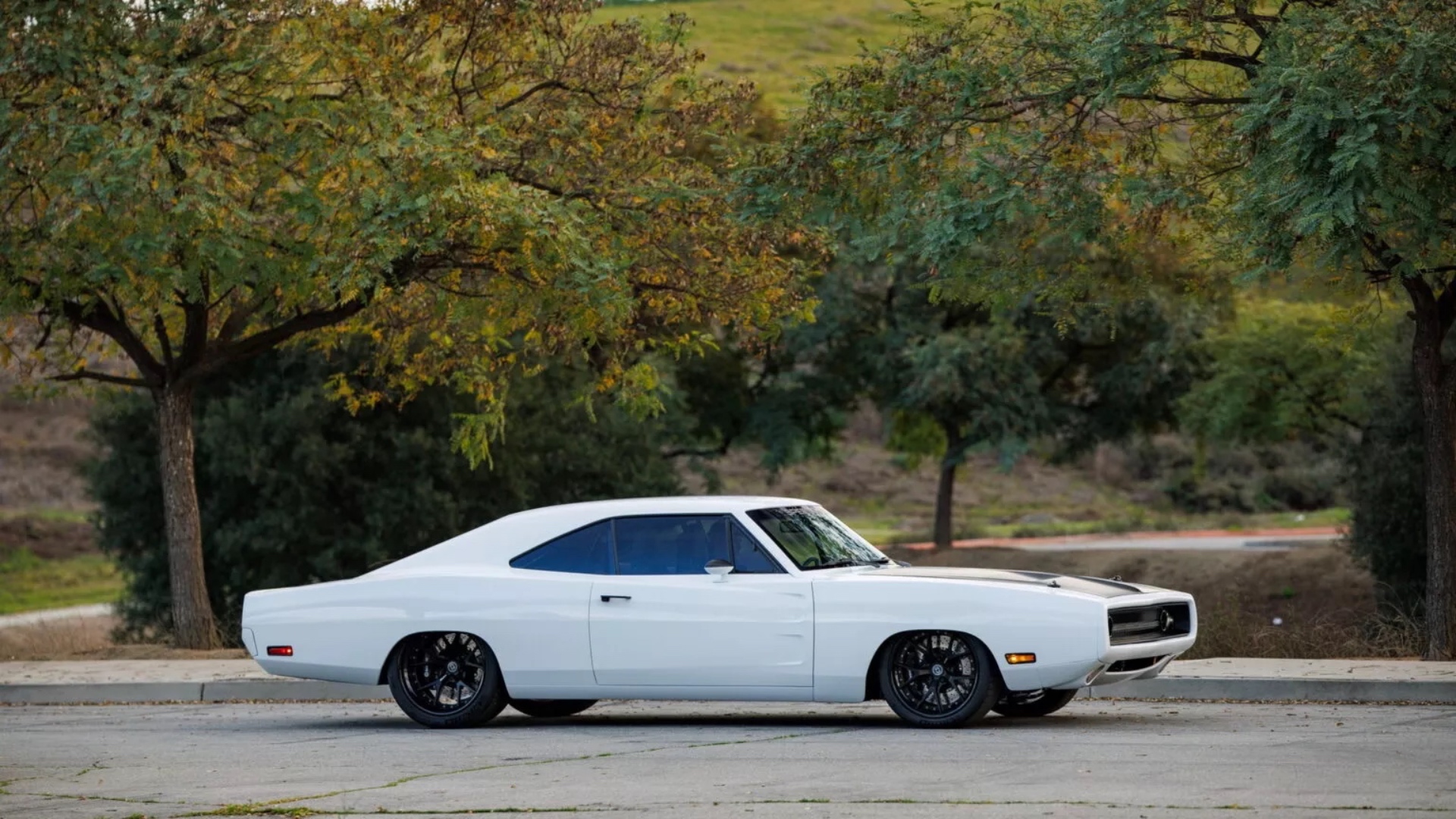 SpeedKore-Ghost-157-1536x1024 SpeedKore-Ghost-157-1536x1024