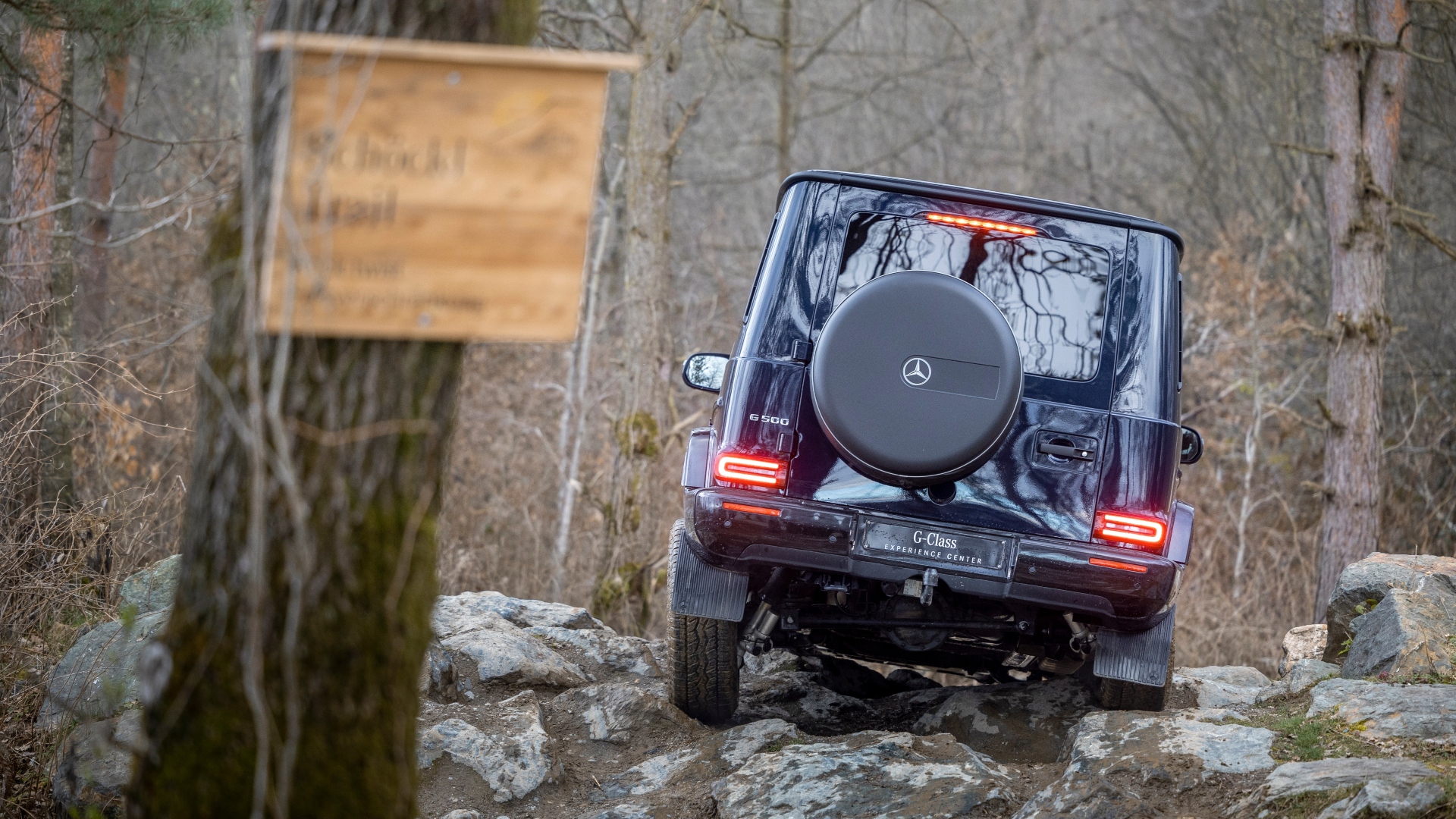 Alberto_Amedeo_Isidoro_008