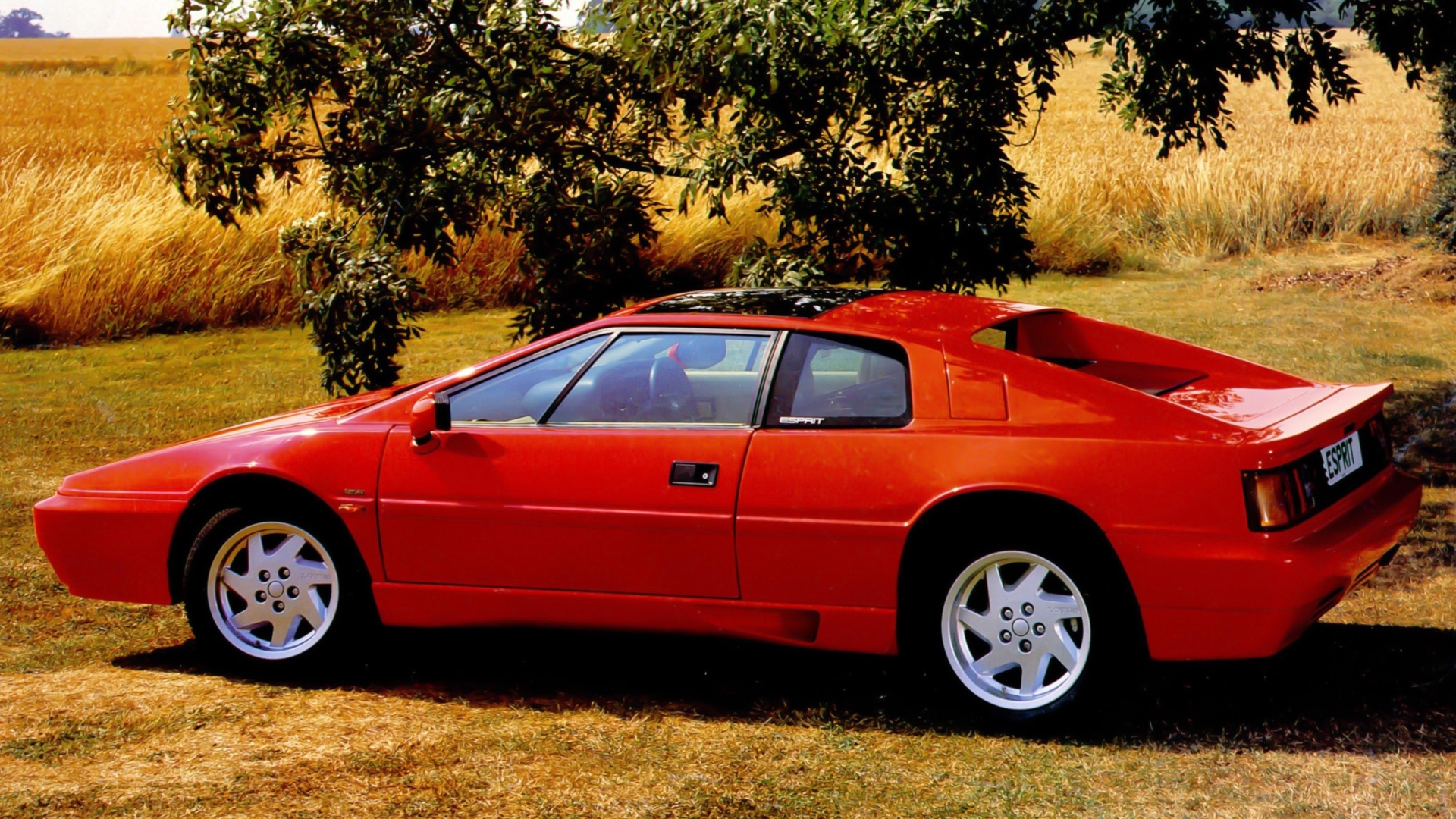 Lotus-Esprit-2