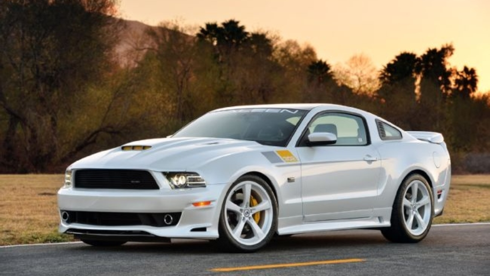 Saleen-tuning-supercar-1