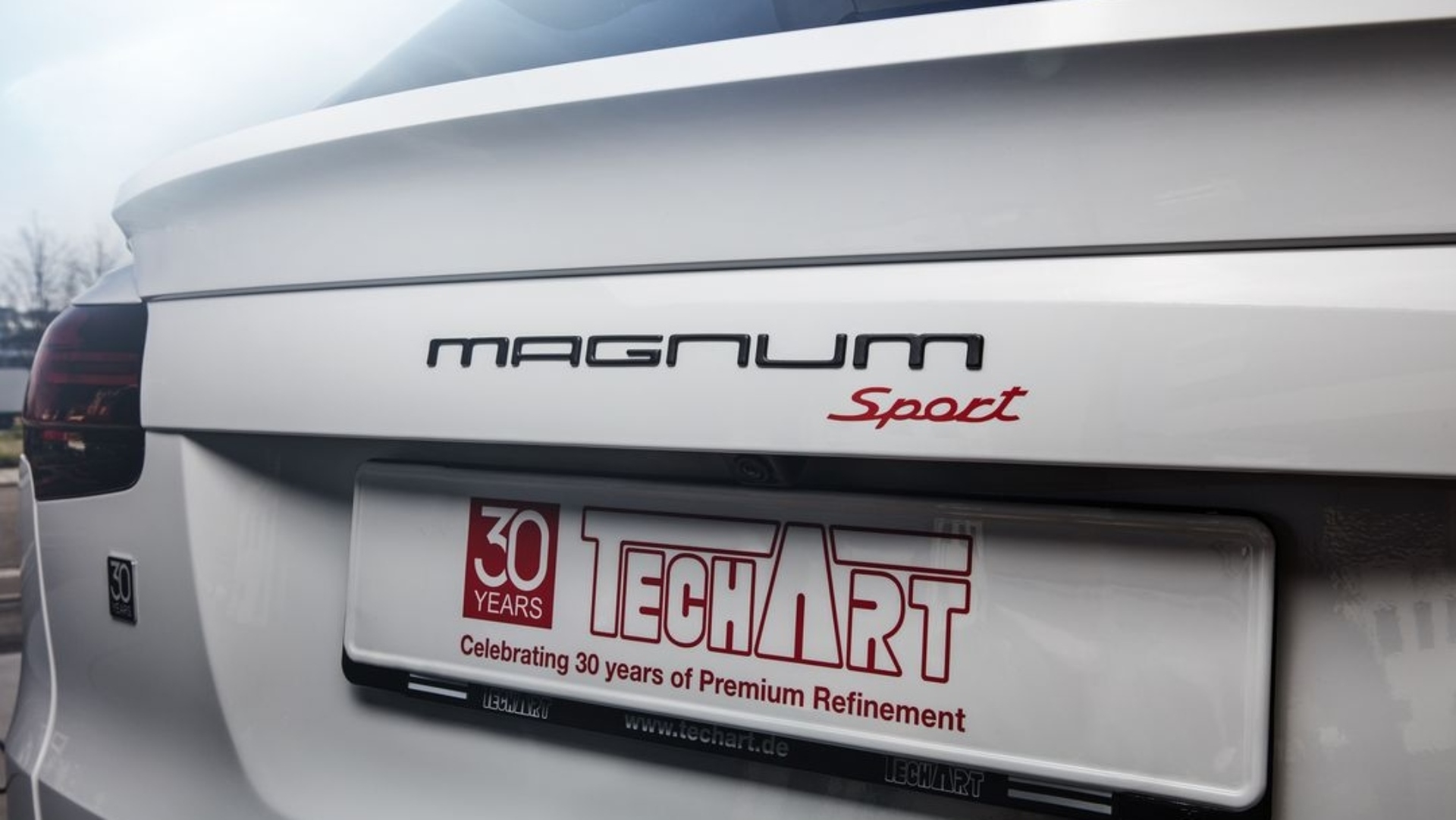 Techart-Porsche-tuner-tuning-10 Techart-Porsche-tuner-tuning-10