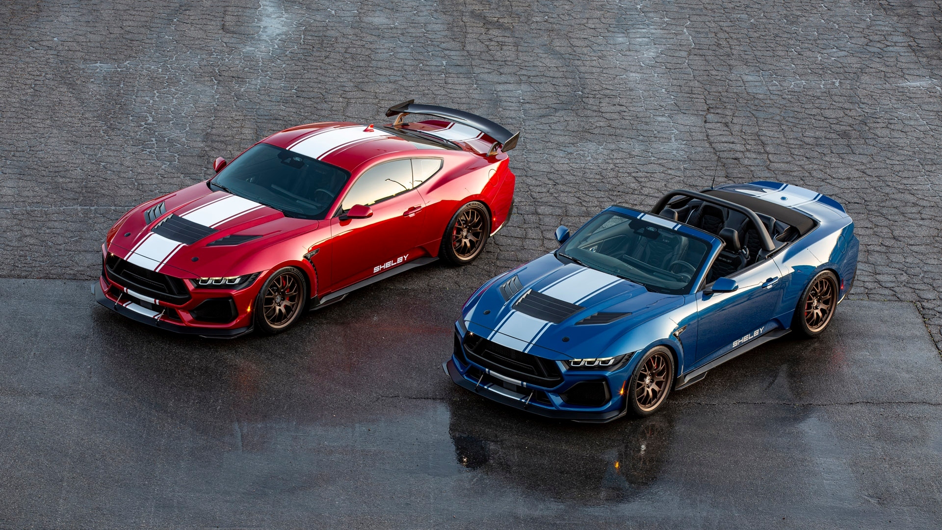 Shelby-Super-Snake-Ford-Mustang-2024-15 Shelby-Super-Snake-Ford-Mustang-2024-15