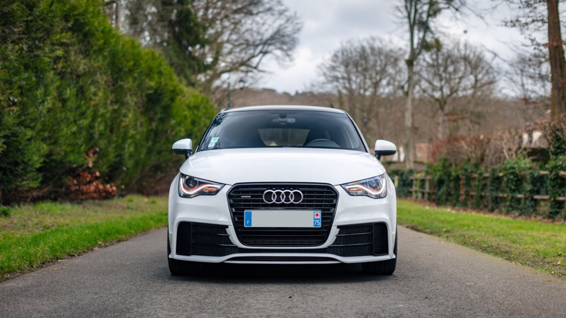 2013-Audi-A1-quattro_378149 2013-Audi-A1-quattro_378149