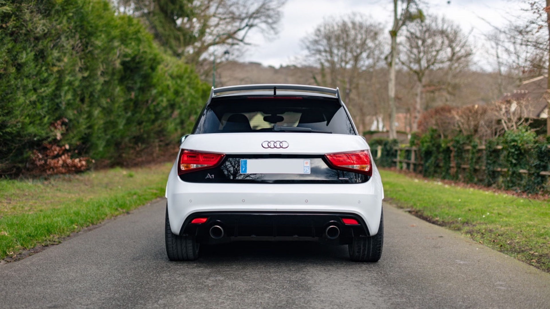 2013-Audi-A1-quattro_401102 2013-Audi-A1-quattro_401102