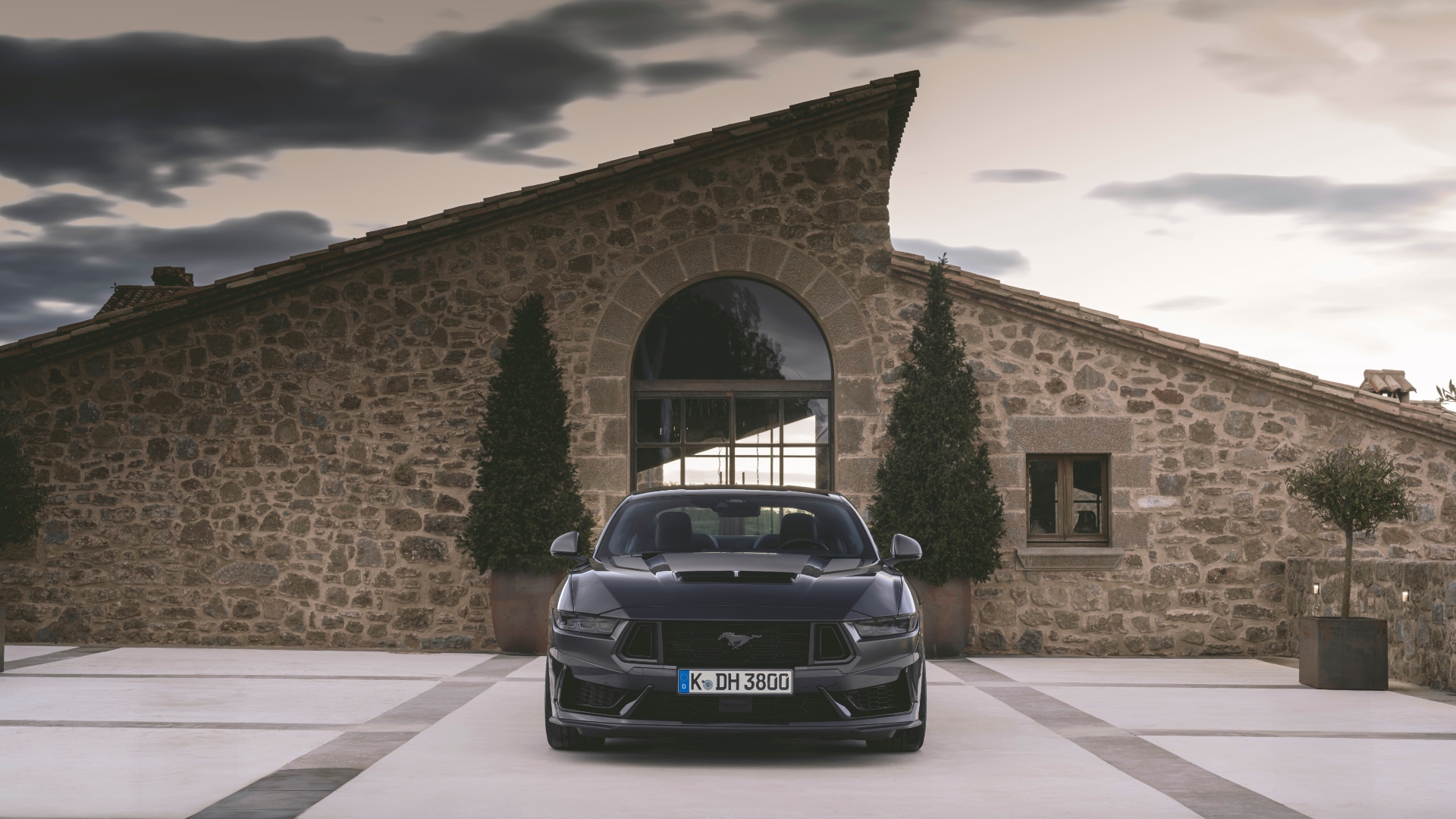 Dark_Horse_Blue_Ember_003 Dark_Horse_Blue_Ember_003