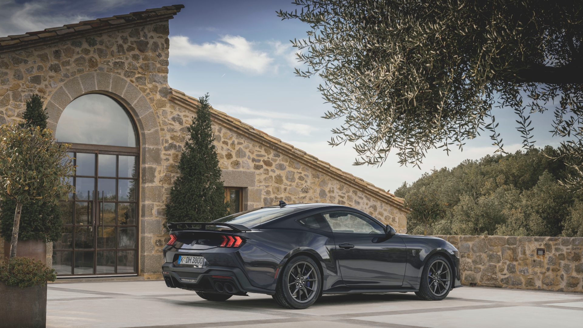 Dark_Horse_Blue_Ember_004 Dark_Horse_Blue_Ember_004