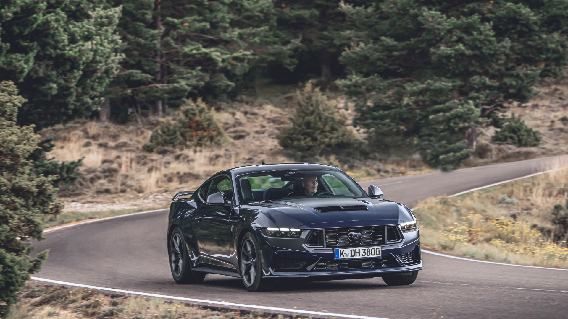 Dark_Horse_Blue_Ember_010 Dark_Horse_Blue_Ember_010